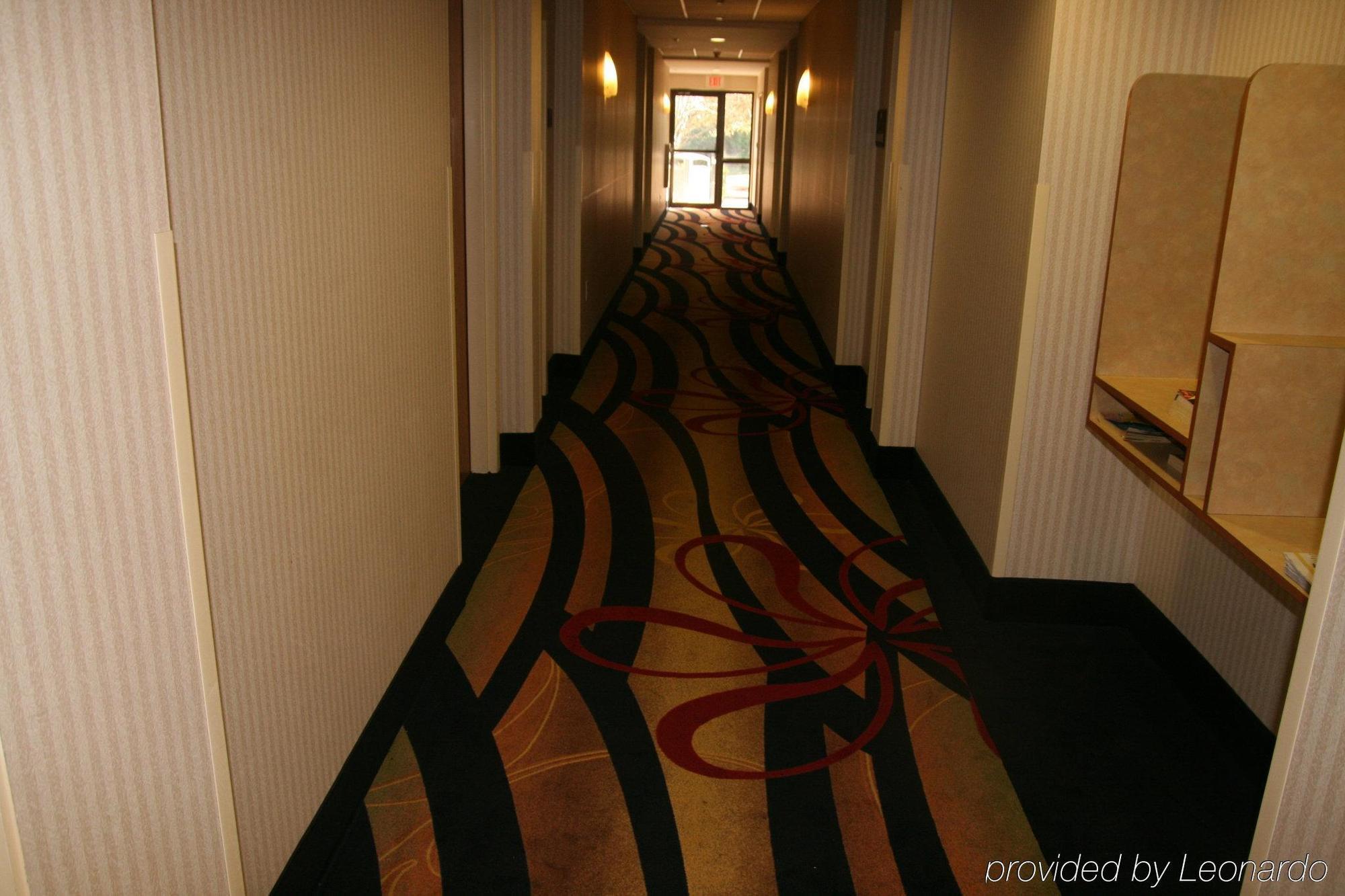 Holiday Inn Express Hotel & Suites Tampa-Anderson Road-Veterans Exp By Ihg West Chase Interiér fotografie